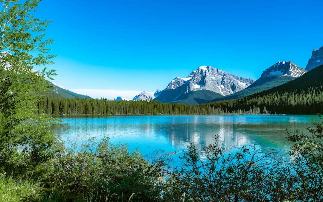 The Icefields Parkway: 230 Kilometres and a Full Day